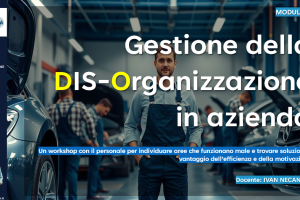 GESTIONE DELLA DIS-ORGANIZZAZIONE IN AZIENDA